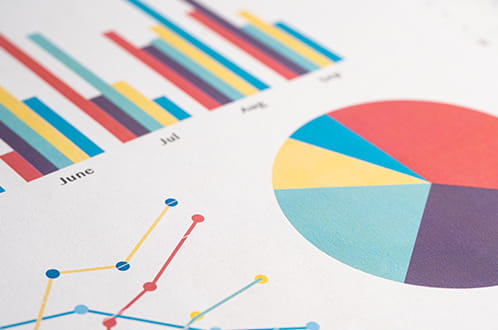 グラフや数字でわかるタツミの説明画像