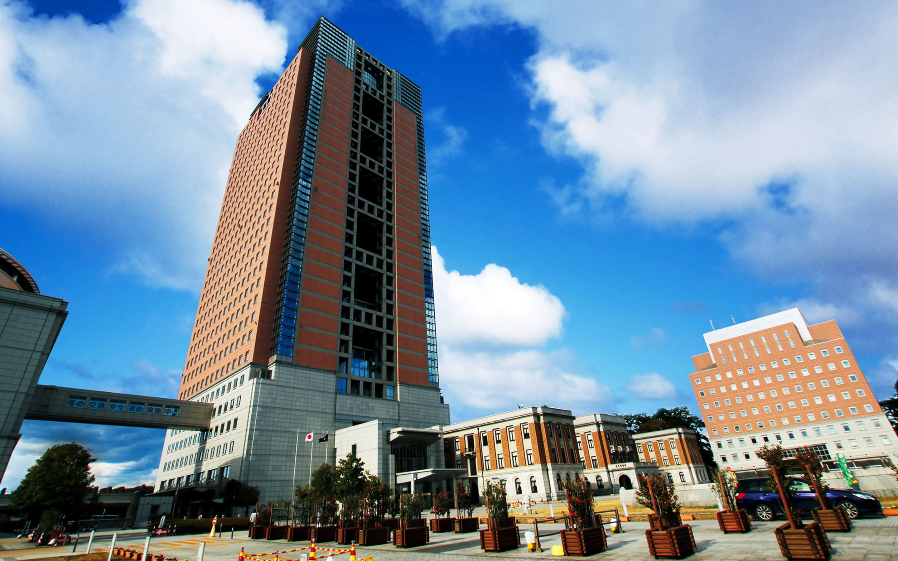 事業内容 MV 背景